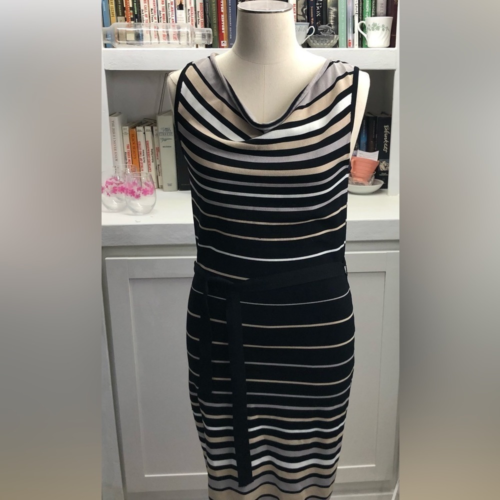 Premise Stripped Sleeveless Dress – Cowl Neckline, Belted, Stretchy & Chic! D284